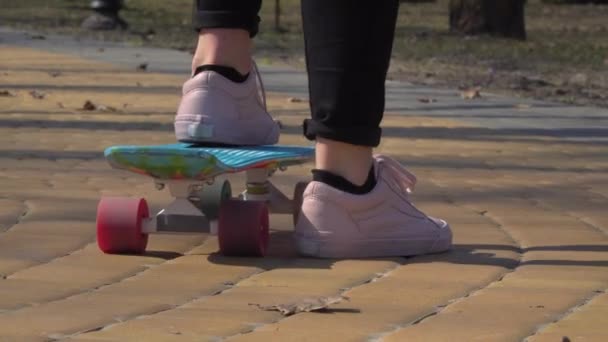 Girl is skateboarding in park - Video