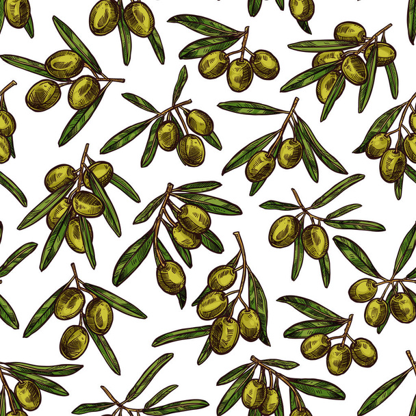 Vektori oliiveja luonnos kuvio tausta
 - Vektori, kuva
