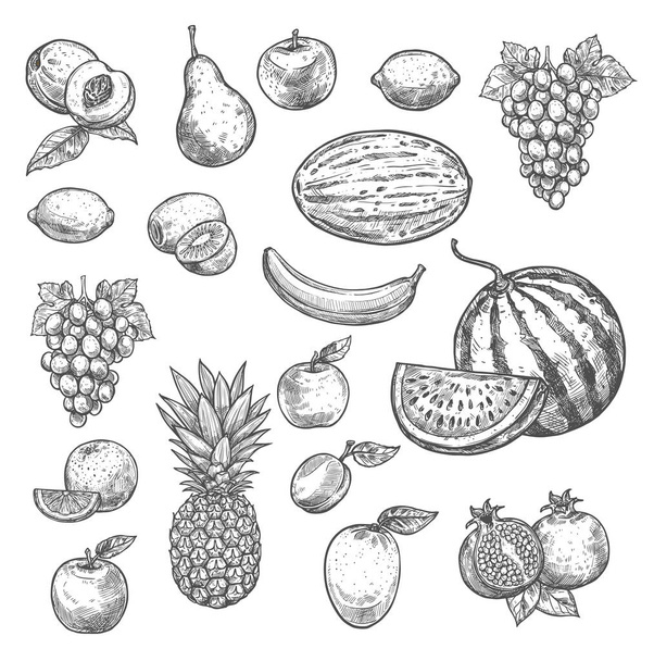 Croquis vectoriel fruits icônes isolées
 - Vecteur, image