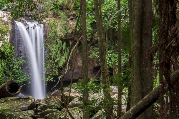 Curtis Falls en el Monte Tamborine
 - Foto, Imagen