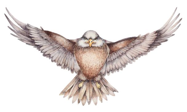 Hand drawn flying eagle - Φωτογραφία, εικόνα