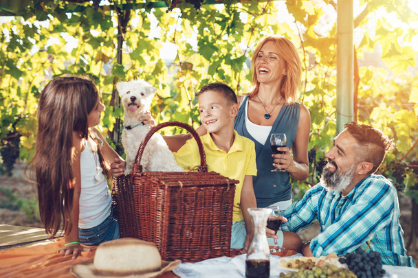 молода усміхнена сім'я має пікнік на винограднику
 - Фото, зображення