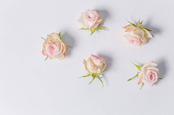 beautiful delicate flowers spray roses on white background, close-up, top view - Foto, Bild