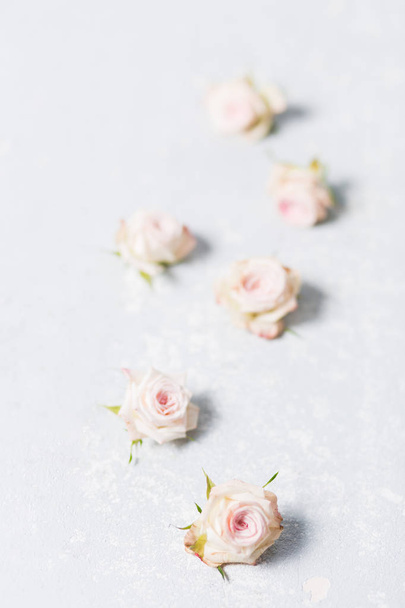 beautiful spray roses, pink flowers vertically on a white variegated gray background, close-up - Valokuva, kuva
