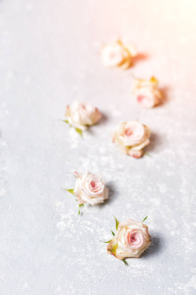 Close up of little pink roses - Φωτογραφία, εικόνα