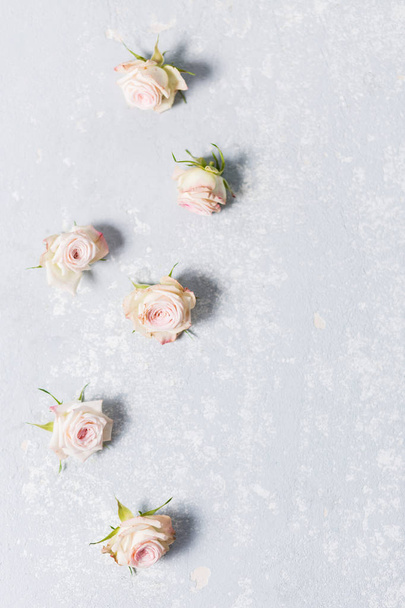beautiful spray roses, pink flowers vertically with edge, texture, on a white variegated gray background - Photo, image