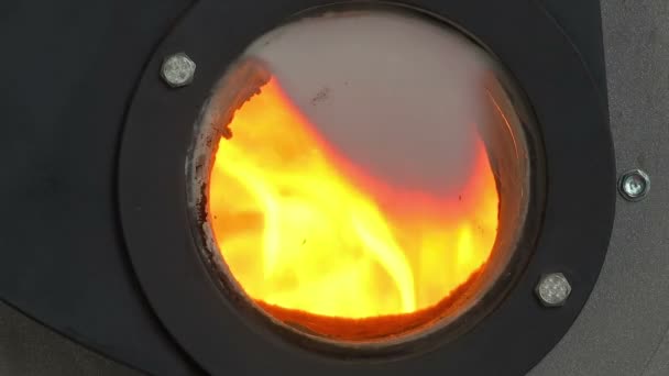 Verbrennung von Biomasse / Feuer im Ofen für Biokraftstoffe, die aus Pflanzenresten gewonnen werden - Filmmaterial, Video