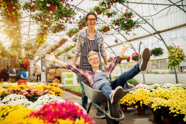 kaksi kaunista nuori nainen ammatillinen puutarhurit hauskaa kottikärryt moderni kasvihuone
  - Valokuva, kuva