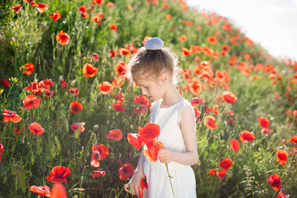 pretty little girl in white dress collects orange poppies on blossom hill - Fotó, kép