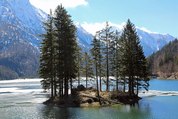 Saari kuusineen Alppien järvellä
 - Valokuva, kuva