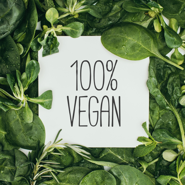 100% vegan napis na mokre zielone liście i białe karty - Zdjęcie, obraz