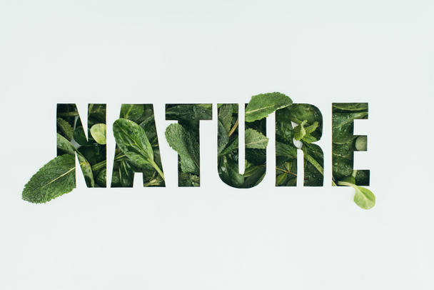 word nature made from fresh green leaves isolated on grey - Foto, Imagem