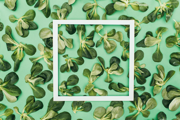 верхний вид на белый квадратный кадр и красивые свежие зеленые листья на зеленый
 - Фото, изображение
