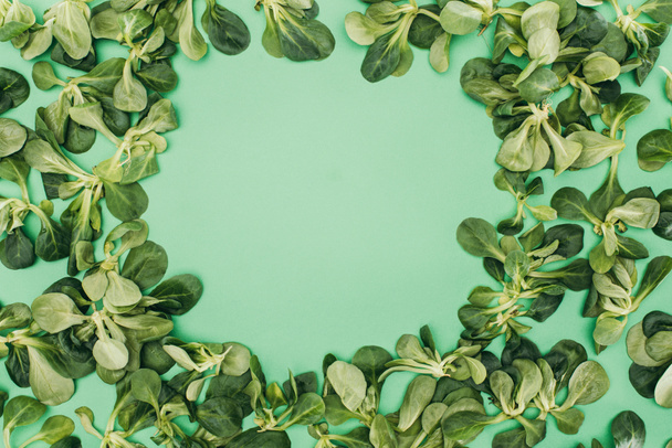top view of beautiful fresh green leaves and copy space on green - Photo, Image