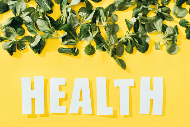 piękne zielone liście i napis zdrowie żółty  - Zdjęcie, obraz