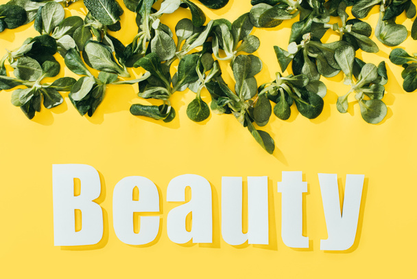 beautiful green leaves and inscription beauty on yellow - Photo, Image
