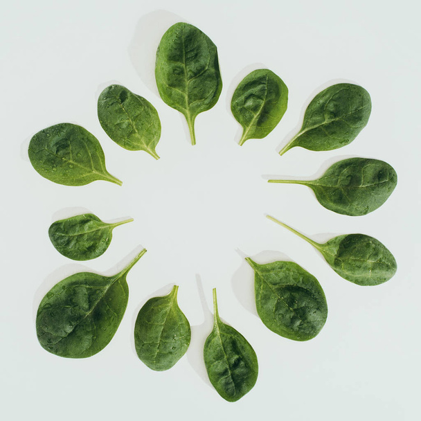 pohled shora Kulatý rám vyrobený z čerstvých zelených listů izolován Grey - Fotografie, Obrázek