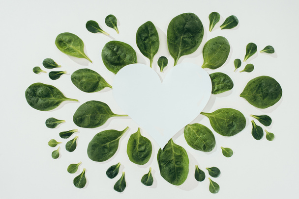top view of beautiful fresh green leaves and blank white heart symbol with copy space on grey - Fotoğraf, Görsel