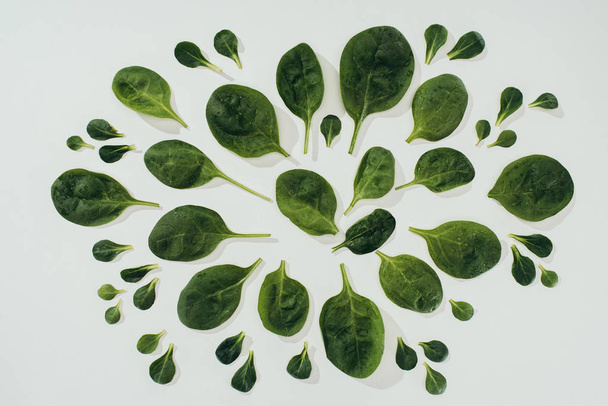 top view of beautiful fresh green spinach leaves of various sizes isolated on grey - Foto, Imagem
