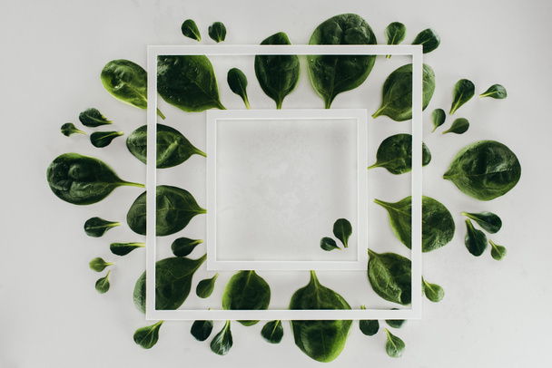 κάτοψη του λευκό τετράγωνο καρέ και όμορφα φρέσκα πράσινα φύλλα σε γκρι  - Φωτογραφία, εικόνα