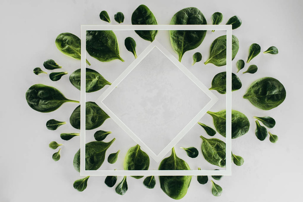 top view of beautiful fresh green leaves, white rhombus and square on grey - Photo, Image