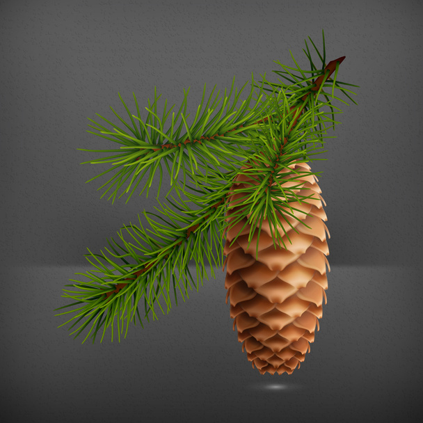 Pine cone with branch, 10eps - Vector, Image