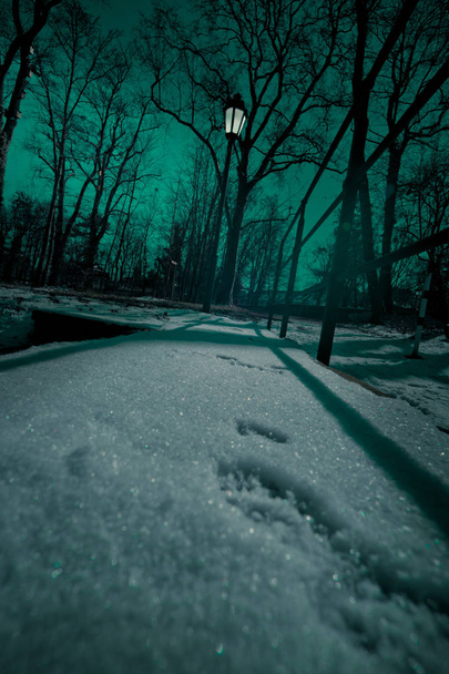 Снег в парке ранней весной ночью
 - Фото, изображение