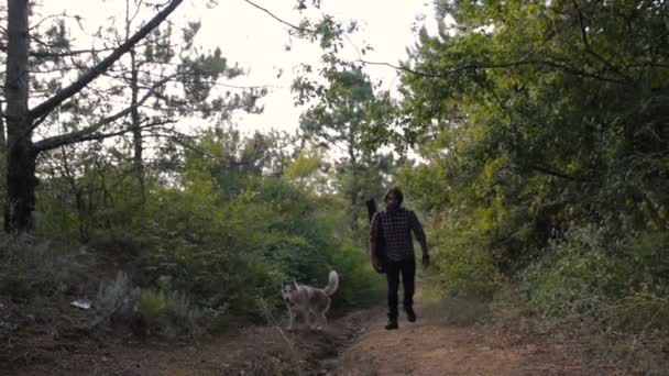 man with guitar walking with two siberian husky dog in forest - Materiaali, video
