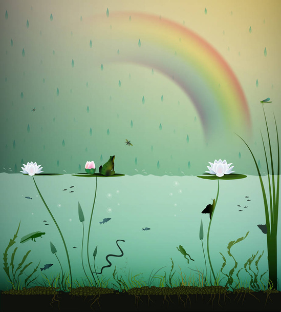 tó az élet, a víz alatt, a rainbow, a tó, tó élet a nyári eső - Vektor, kép