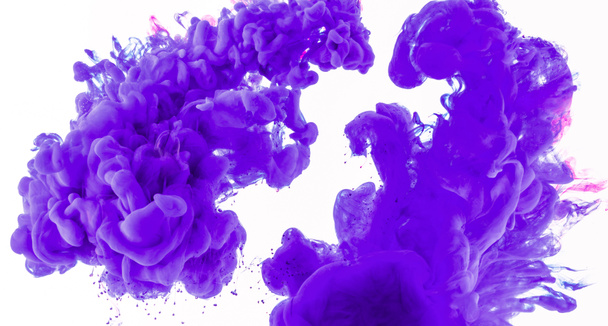 abstract design with splashes of purple paint in water, isolated on white - Фото, зображення