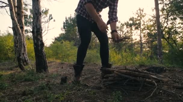 hiker man collecting firewood in forest - Filmagem, Vídeo