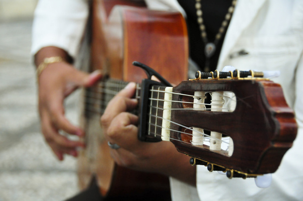Man playing the Spanish guitar - Photo, Image