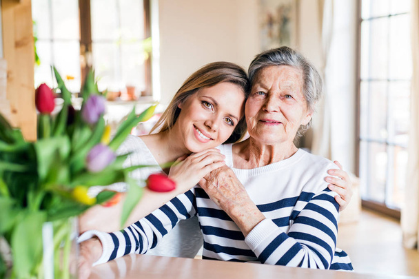 An elderly grandmother with an adult granddaughter at home. - Foto, Bild