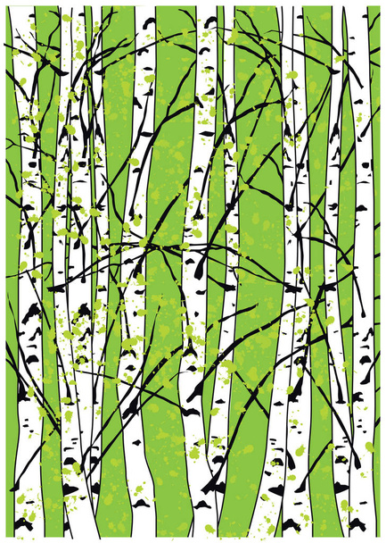 Sping vector illustration of beech trees forest. Beautiful birch trees. - Vector, Image