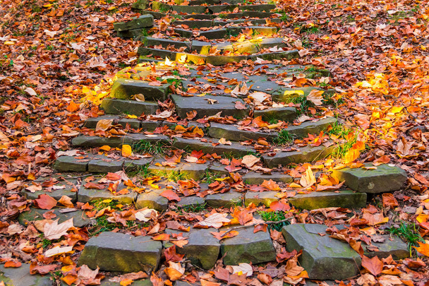 Stone stairs in autumn park - Zdjęcie, obraz