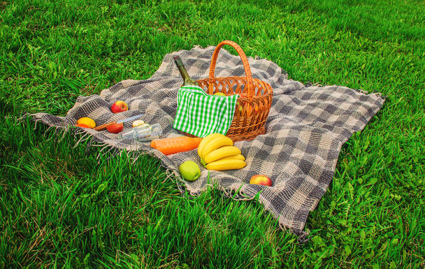 Плед на пикник на траве. Селективный фокус
.   - Фото, изображение