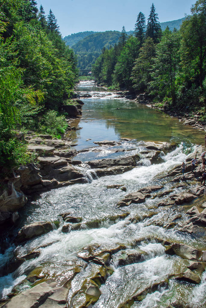 Vuoristojoki virtaa vihreän metsän läpi - Valokuva, kuva