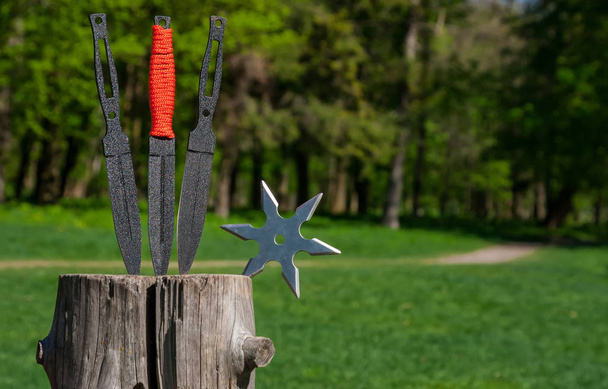 Heitto veitsi ja Shuriken (heittää tähti), puinen backgroun
 - Valokuva, kuva