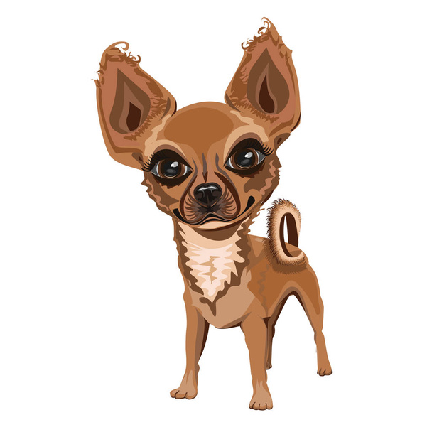 merry little dog with a nice face. Cute vector illustration. - Vektor, obrázek