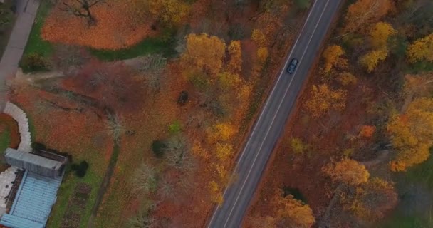 Zwarte auto rijden op de weg in Sigulda. brug, herfst road, drone vlucht, gele bos - Video