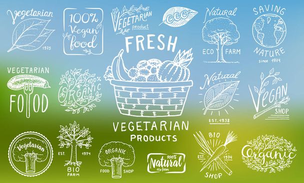 Terveellisiä luomuruokaa logot asettaa tai etiketit ja elementit kasvissyöjä ja Farm vihreät luonnolliset vihannekset tuotteita, vektori kuva. merkit terveellistä elämää. kaiverrettu käsin piirretty vanha luonnos
. - Vektori, kuva