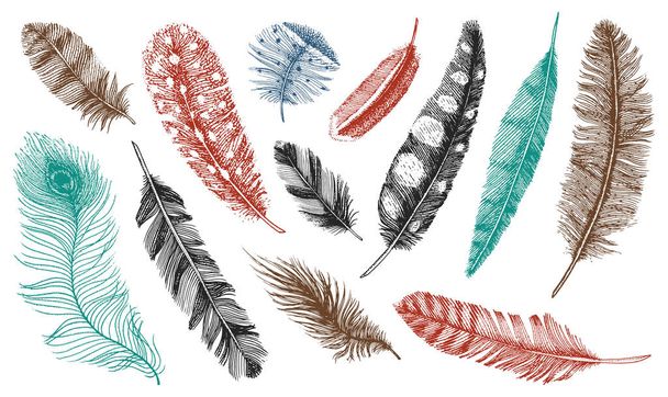 Set of Rustic realistic feathers of different birds, owls, peacocks, ducks. engraved hand drawn in old vintage sketch. Vector illustration. - Vector, Image