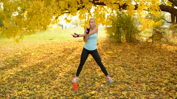 Сексуальная блондинка, растянувшаяся в общественном парке, покрытая желтыми листьями, готовая бежать. Понятие здорового образа жизни
. - Кадры, видео