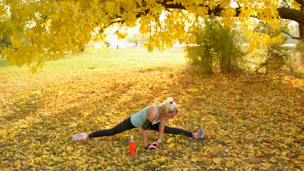 Houkutteleva urheilullinen blondi, joka jakaa ja käyttää kentällä julkisessa puistossa, joka on peitetty keltaisilla lehdillä
. - Materiaali, video