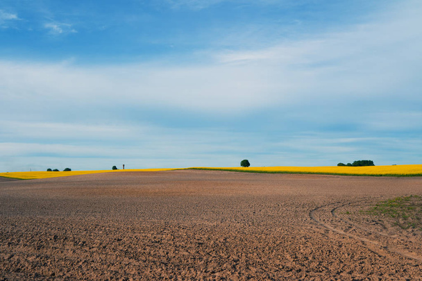 Landbouw, aarde rijen klaar zaaien en gele canola veld in - Foto, afbeelding