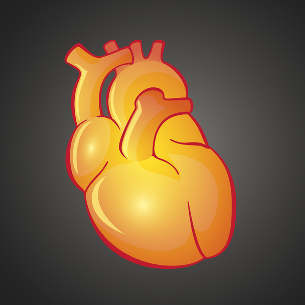 graficzny ilustracja serca - Wektor, obraz