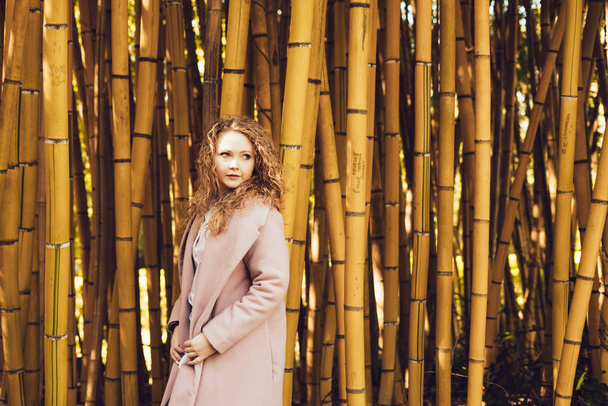 curly fashionable girl posing against a background of bamboo trees in a spring park - Fotó, kép
