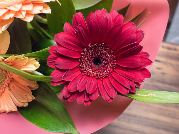 Red bud of flower closeup. Flower of chrysanthemum with decorative greenery. Decoration made of decorative plants for birthday card, invitation, poster. Selective soft focus, blurred backdrop. - 写真・画像