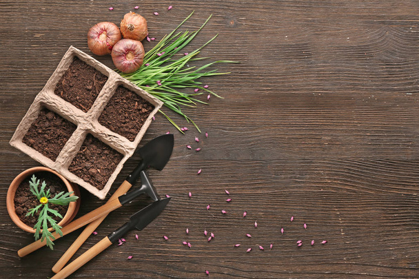 Composition with flower bulbs and gardening tools on wooden background - Photo, Image