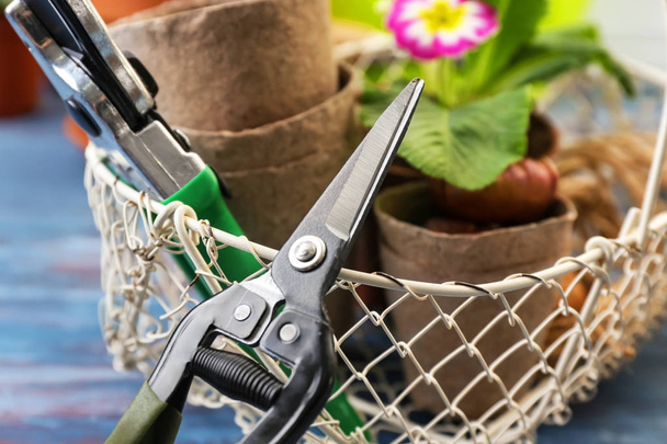 Bahçecilik aletleri ve tencere, closeup ile metal sepet - Fotoğraf, Görsel